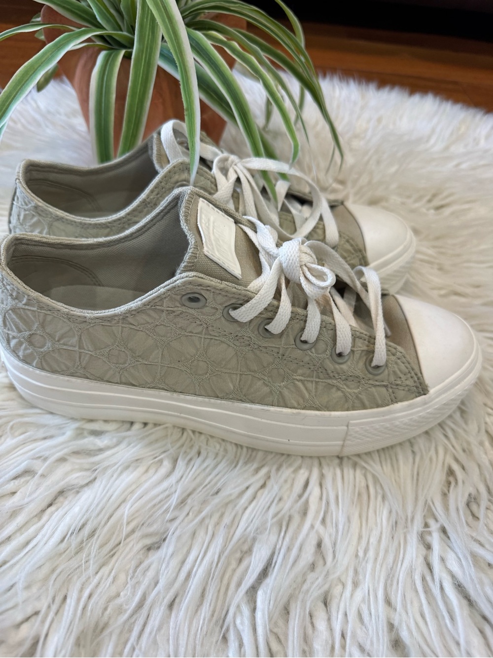Converse Women's Low-Top Sneakers in Light Gray and White